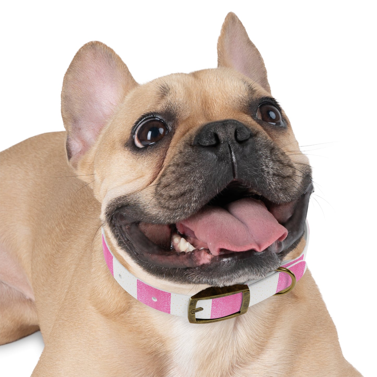 Candy Cane Blitz Collar