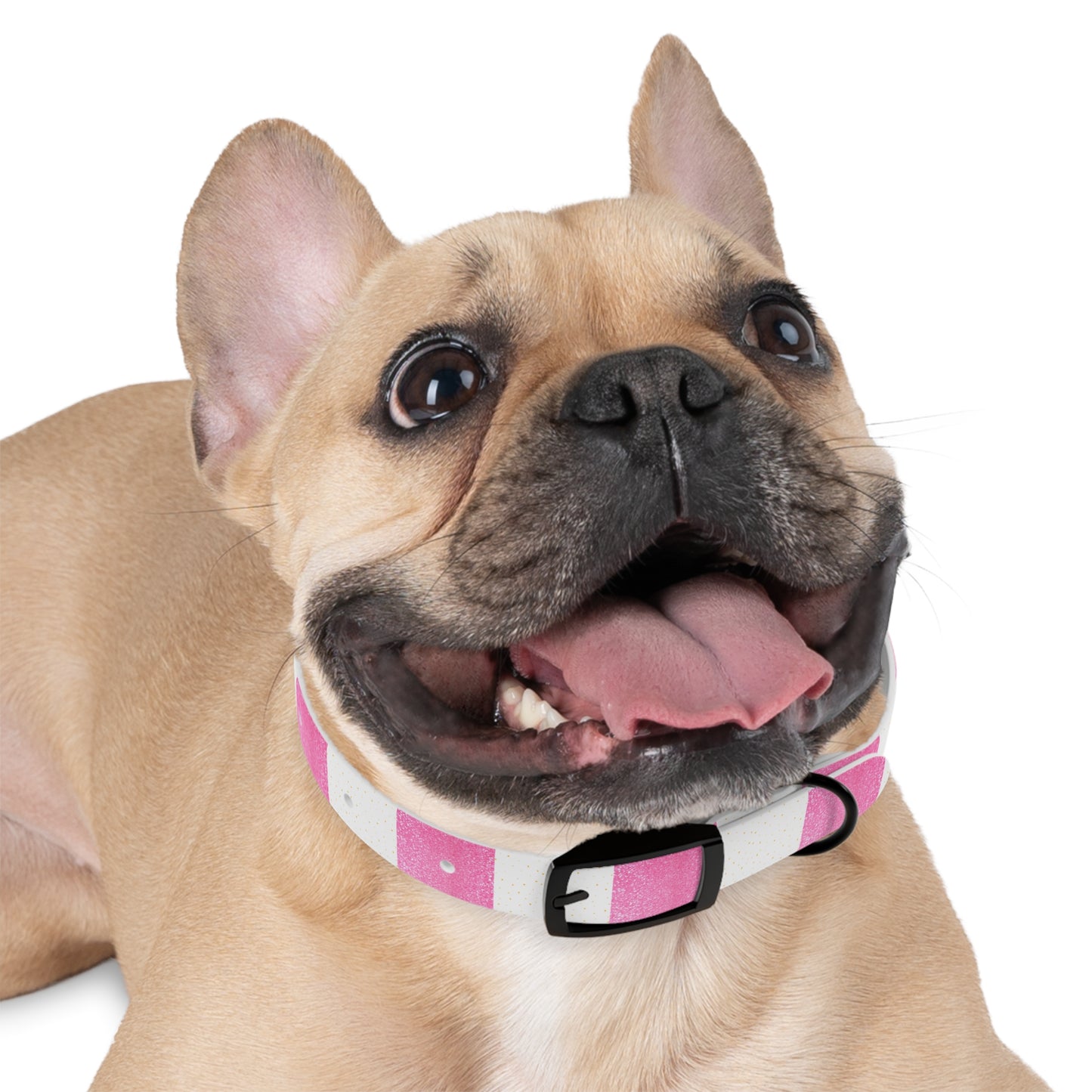 Candy Cane Blitz Collar