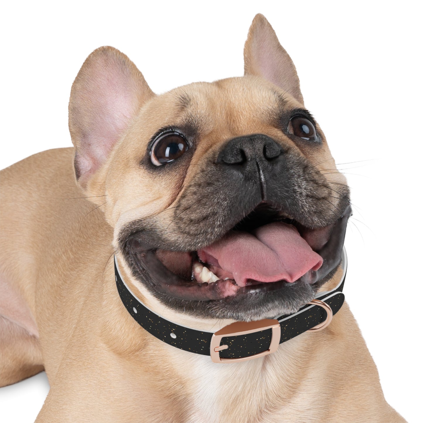 Midnight Dazzle Collar
