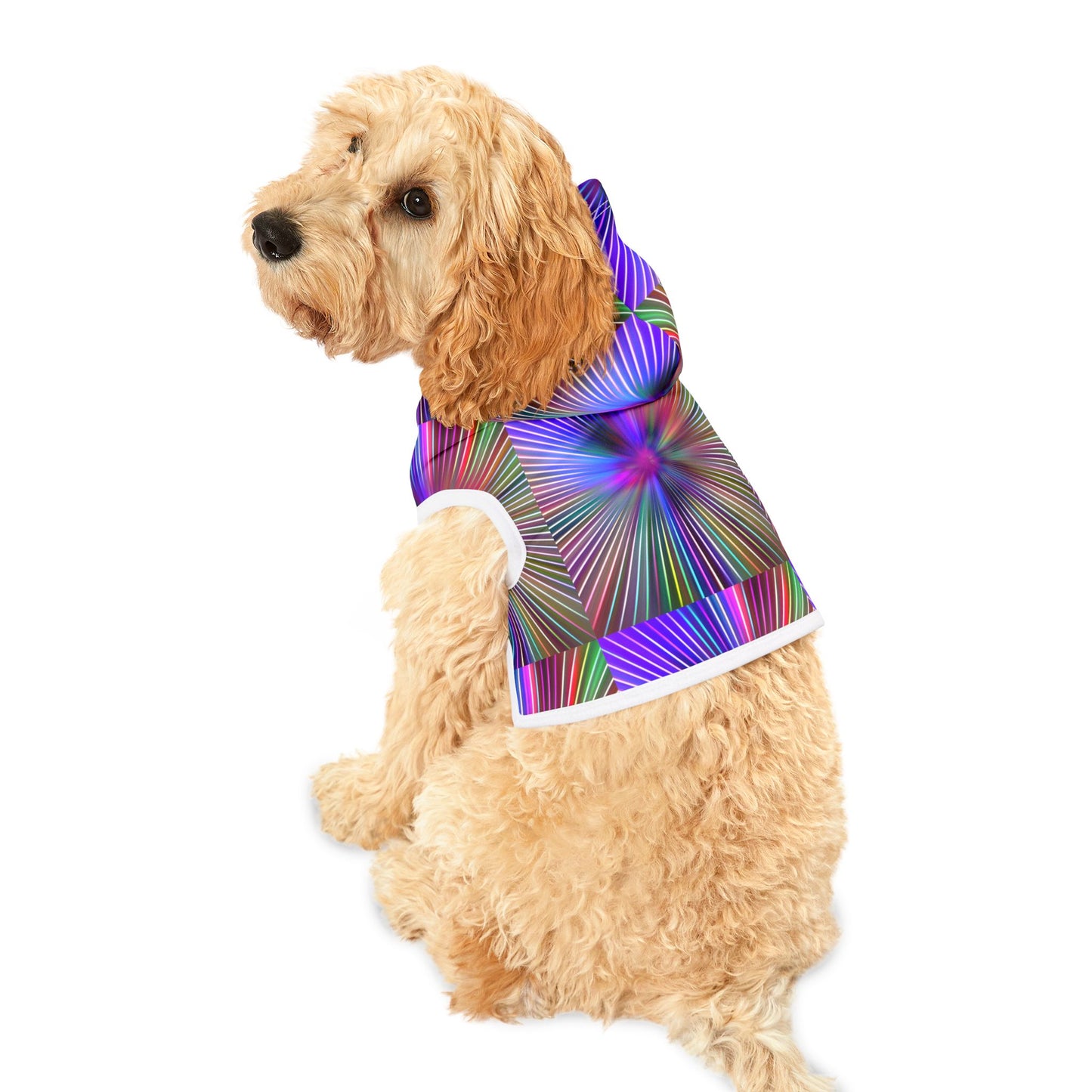 Disco Pawty Hoodie