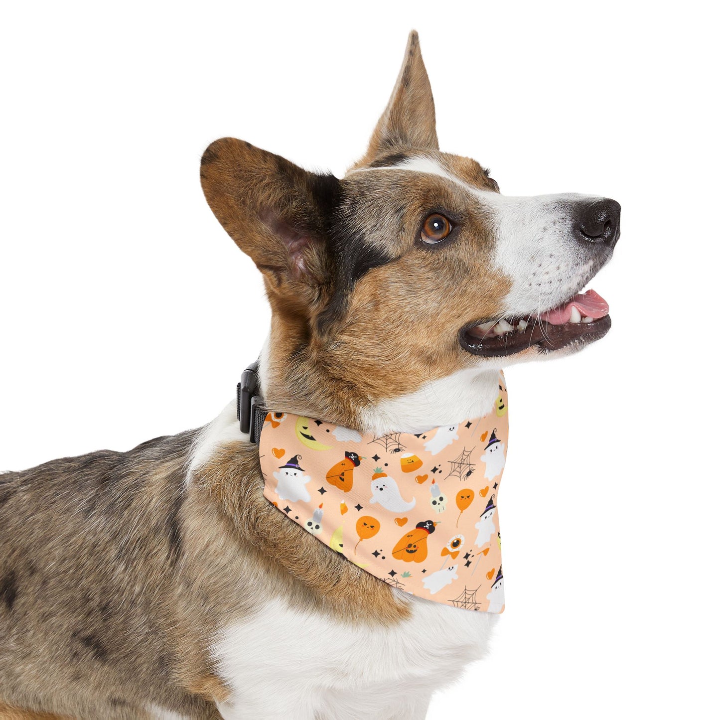 Bandana Collar