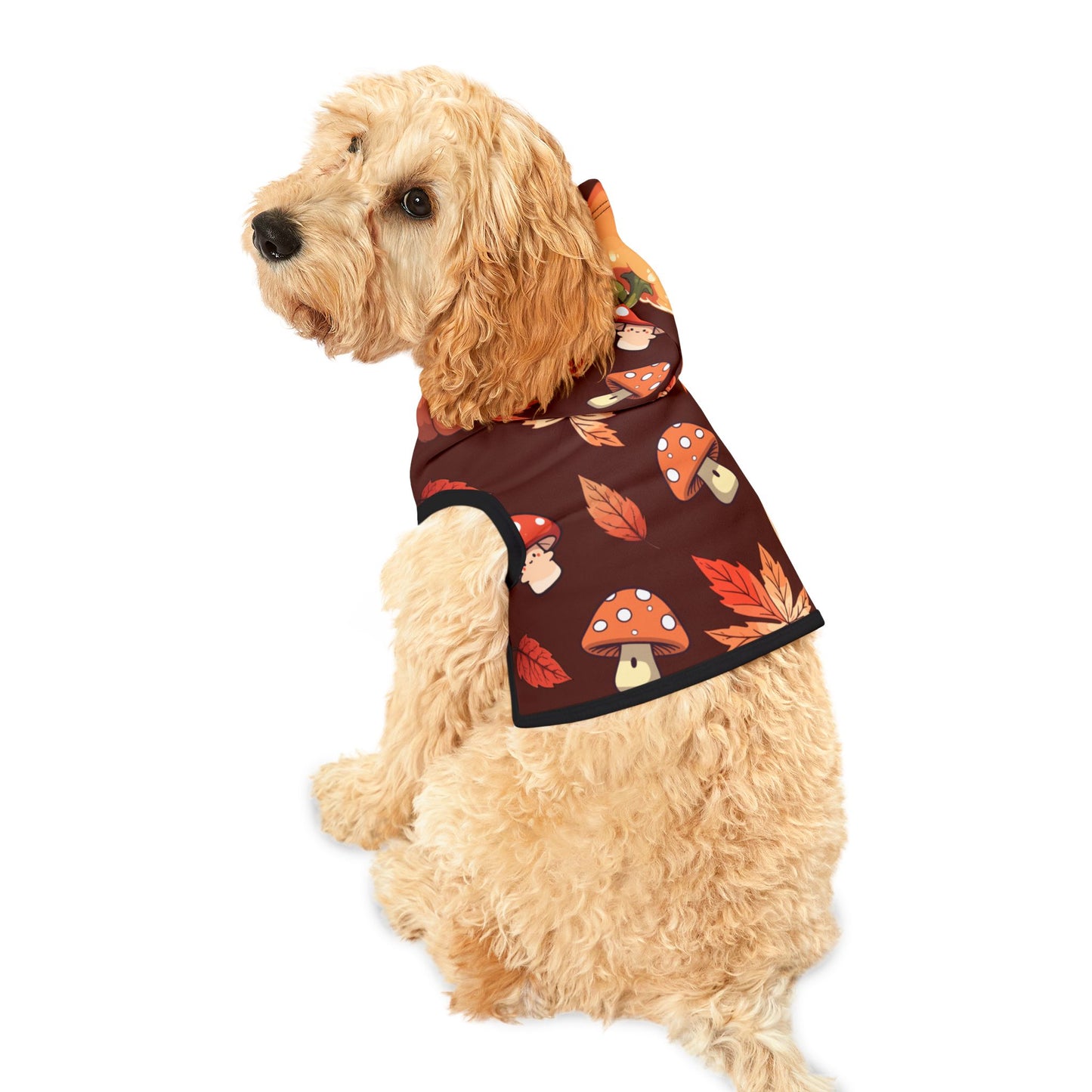 Autumn- Pet Hoodie