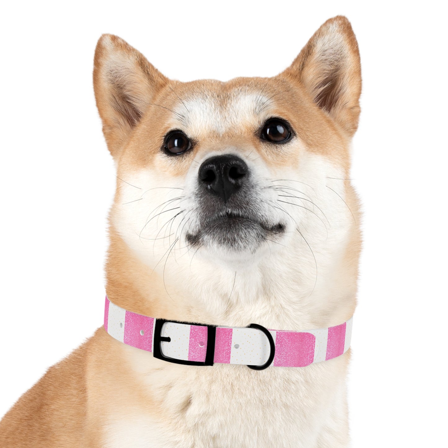 Candy Cane Blitz Collar