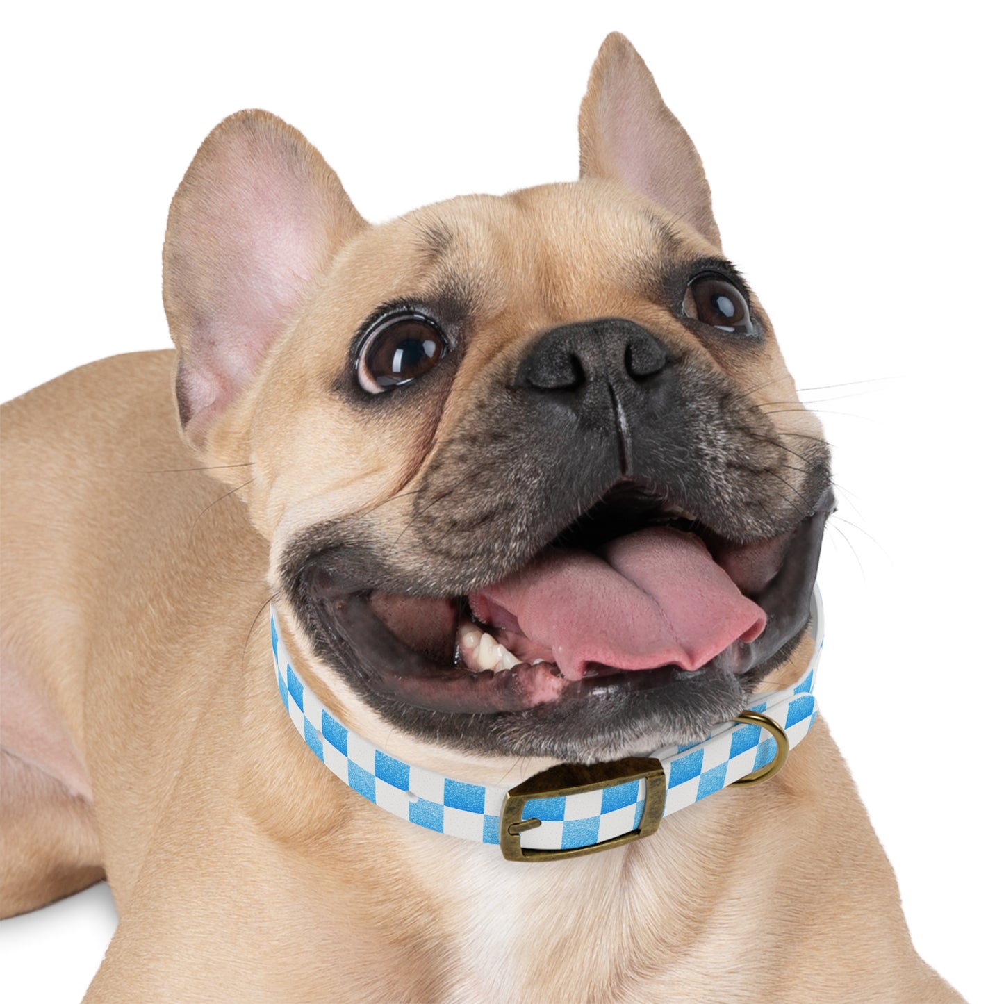 Blue Baloo Collar