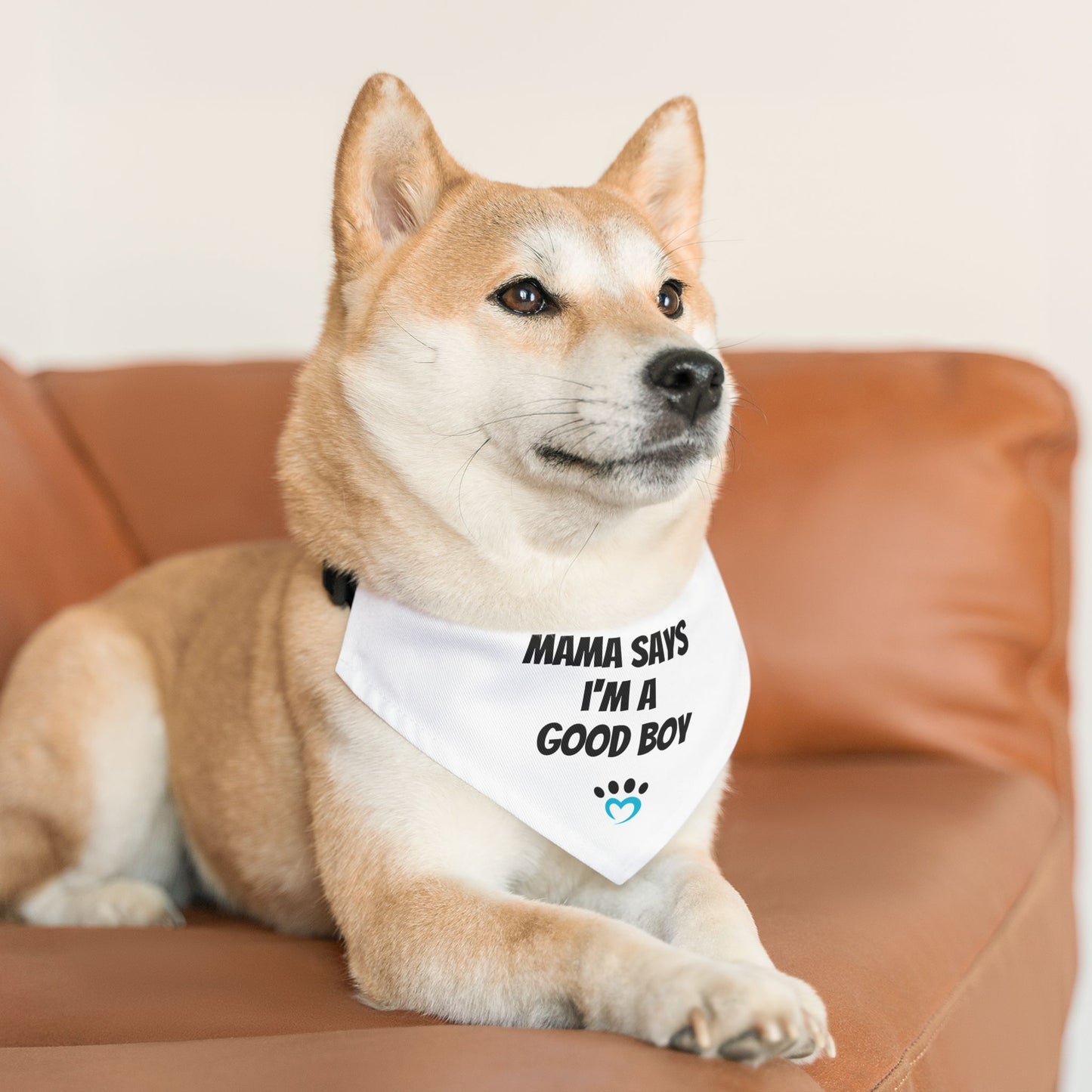 Pet Bandana Collar