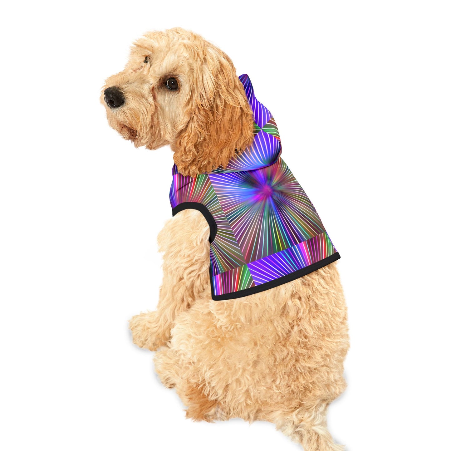 Disco Pawty Hoodie