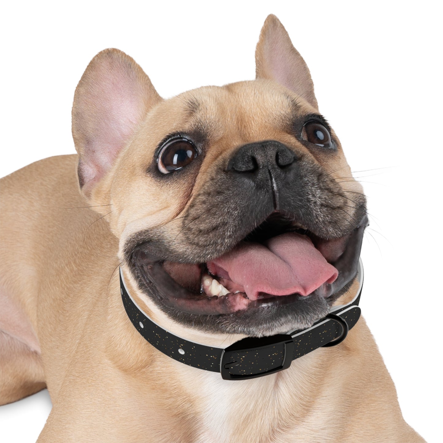 Midnight Dazzle Collar