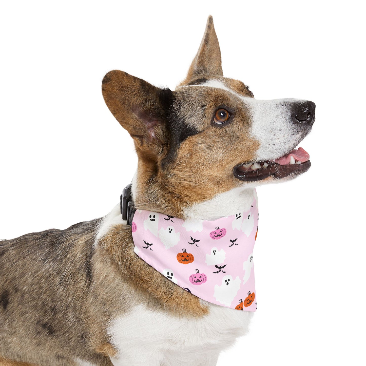 Halloween Pet Bandana Collar