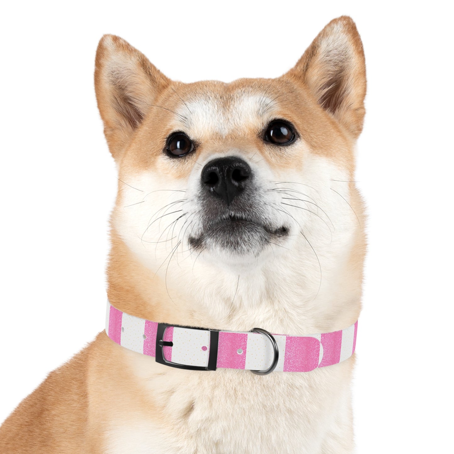 Candy Cane Blitz Collar