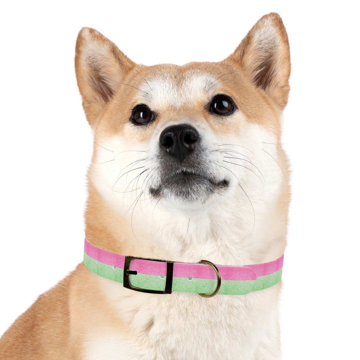 Watermelon Splash Collar