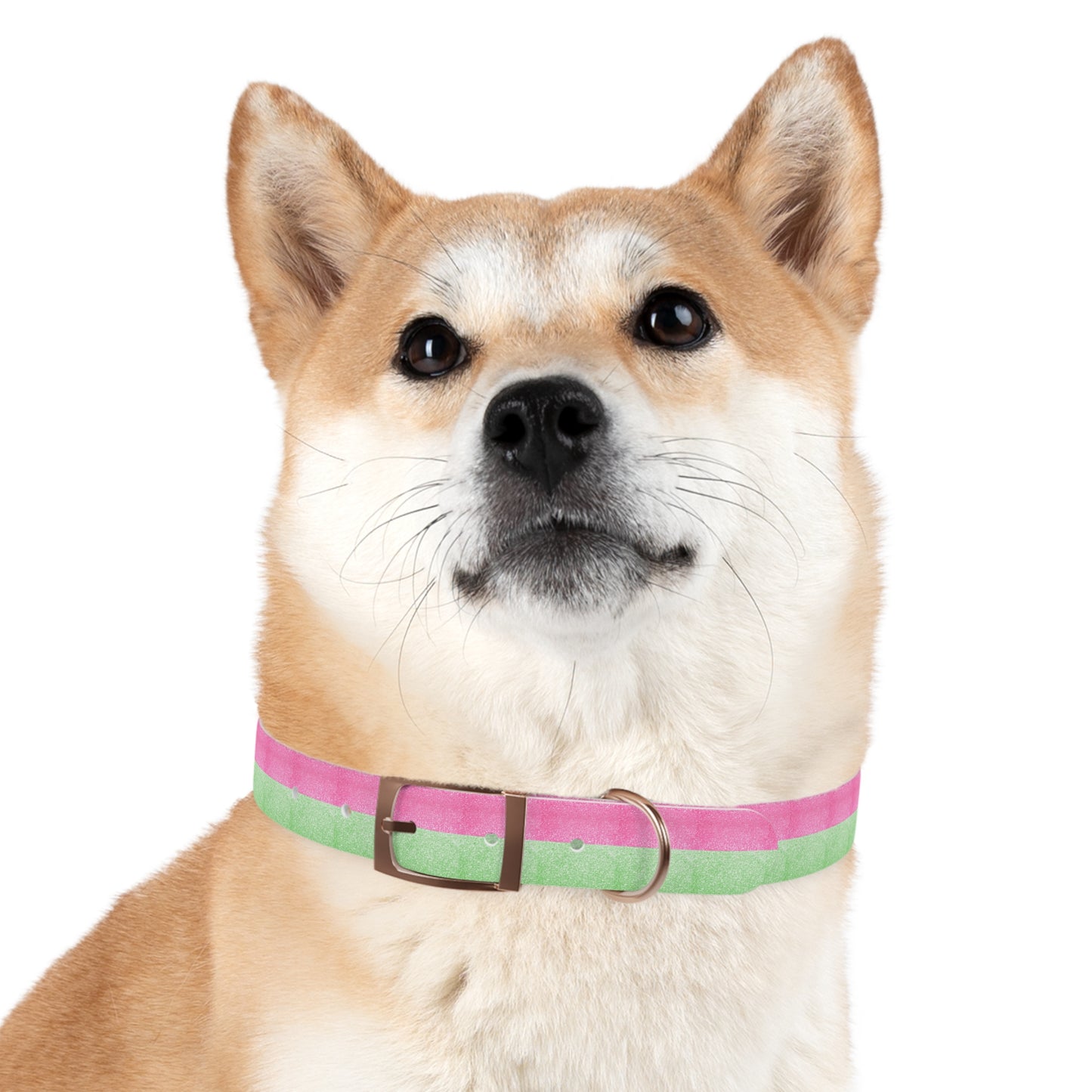 Watermelon Splash Collar