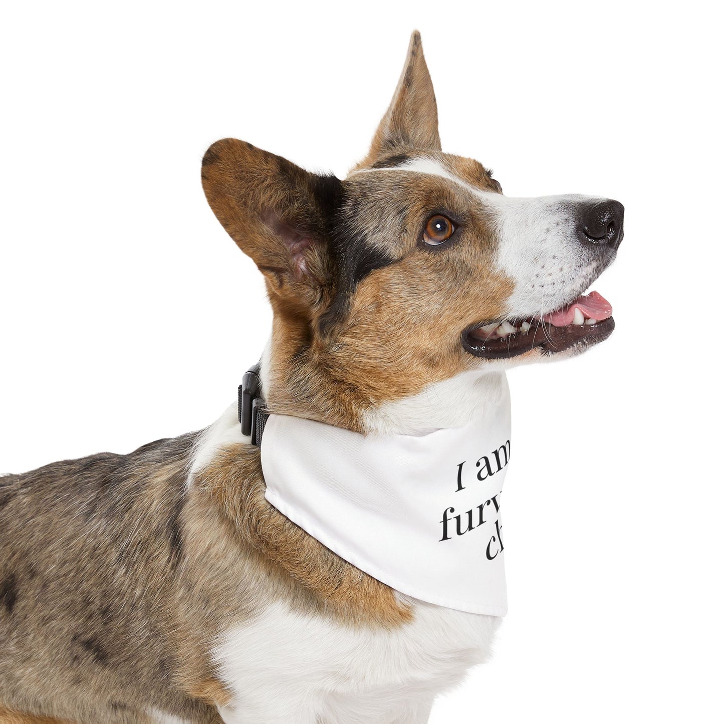 Fur Baby Bandana