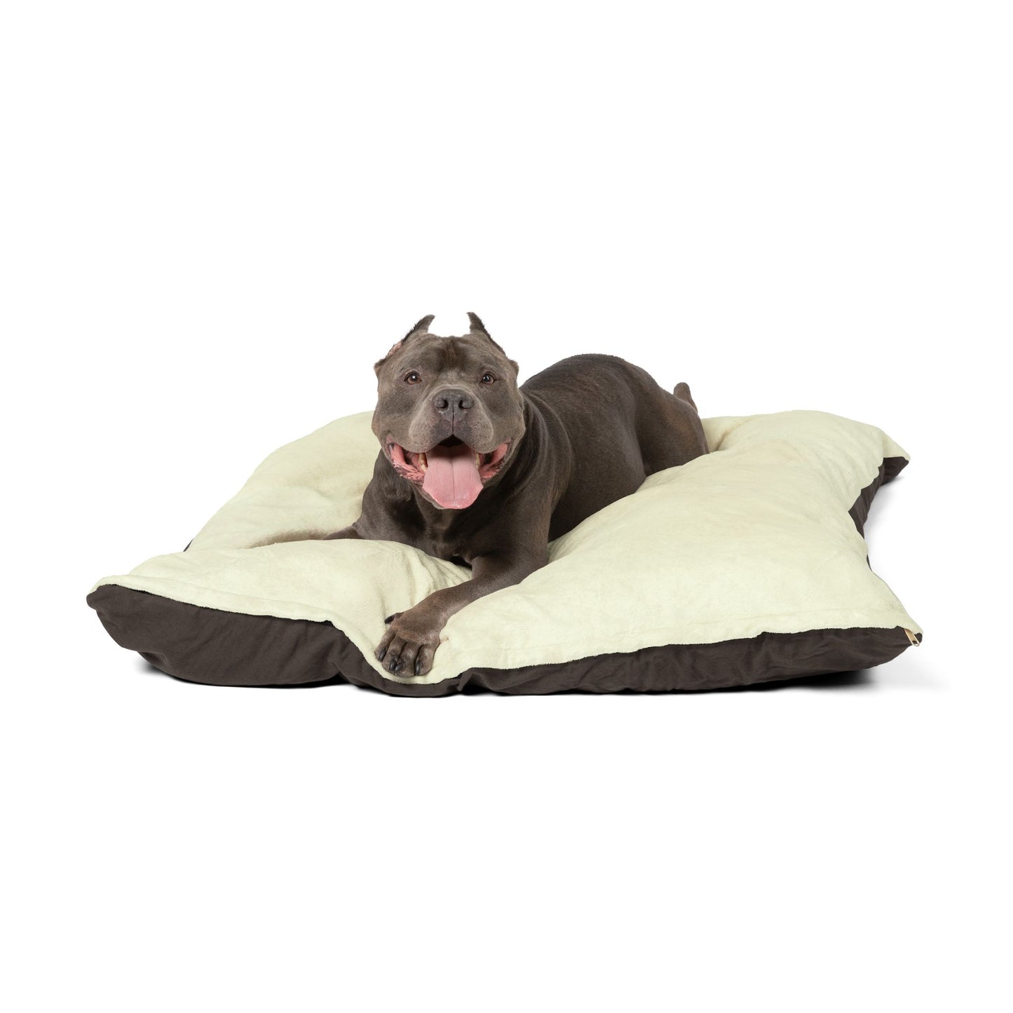 Barkle "B" Signature Beige Bed