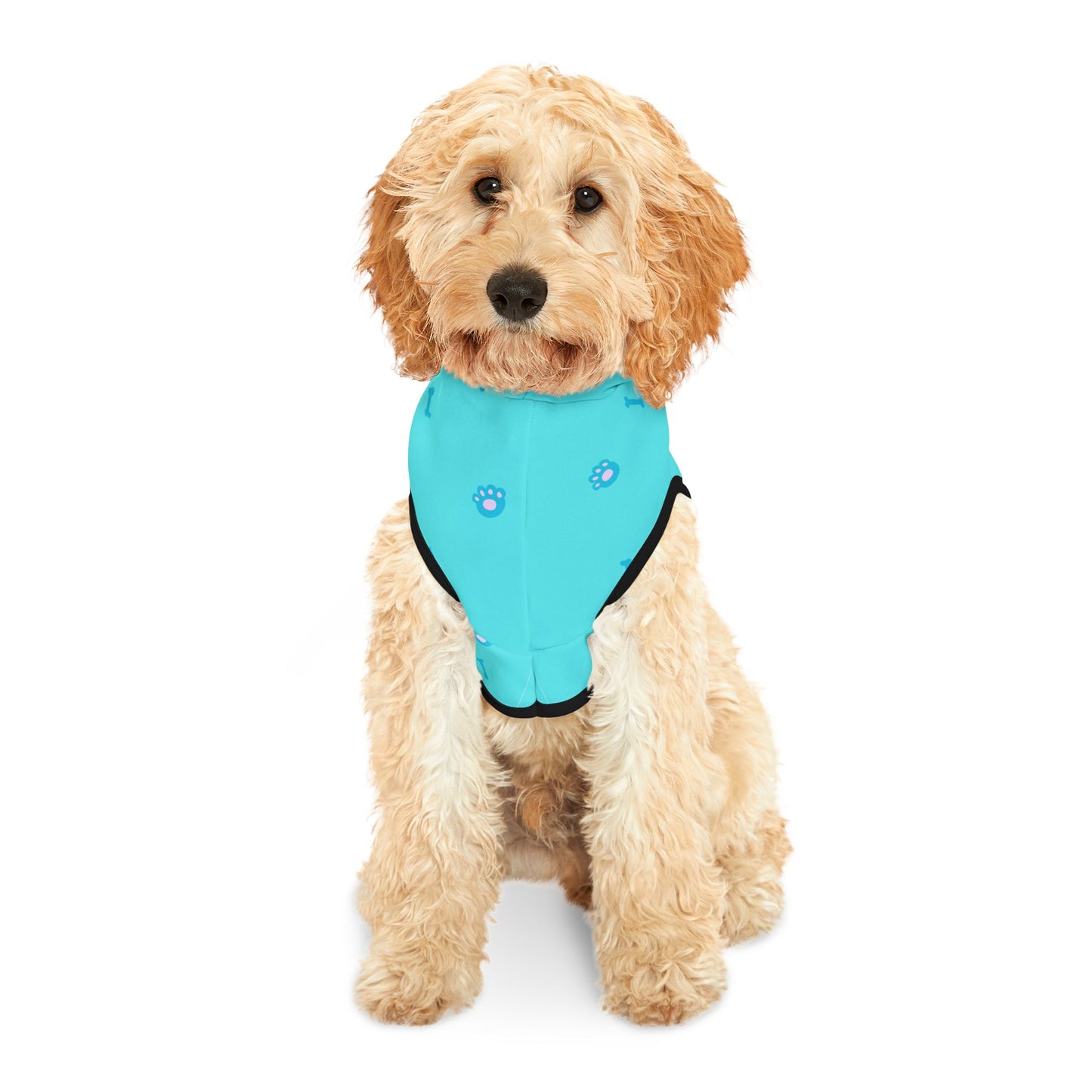Pet Hoodie Blue Paws and Bones