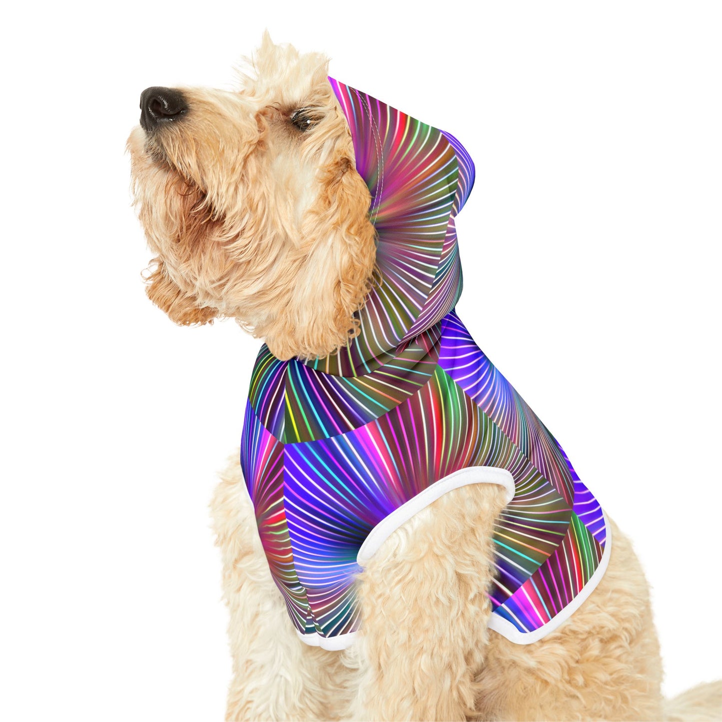 Disco Pawty Hoodie