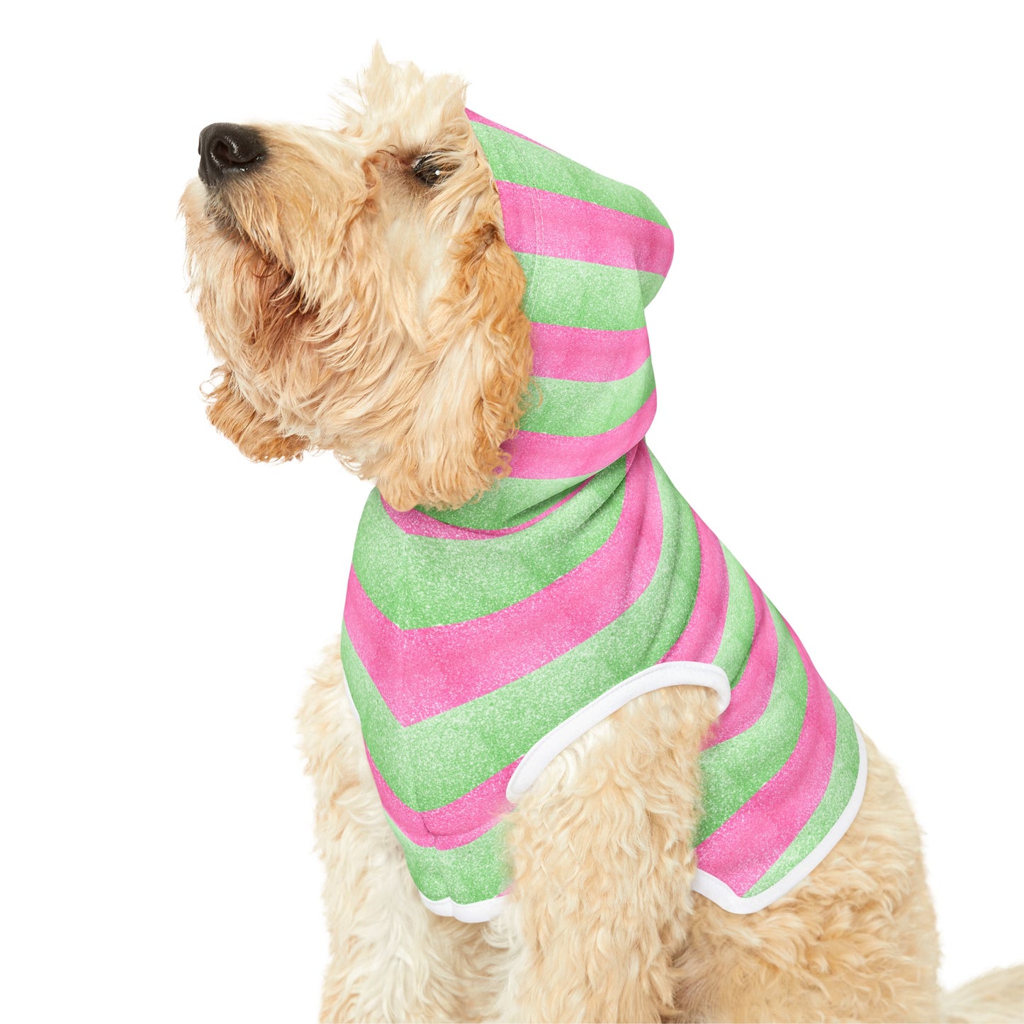 Watermelon Splash Hoodie