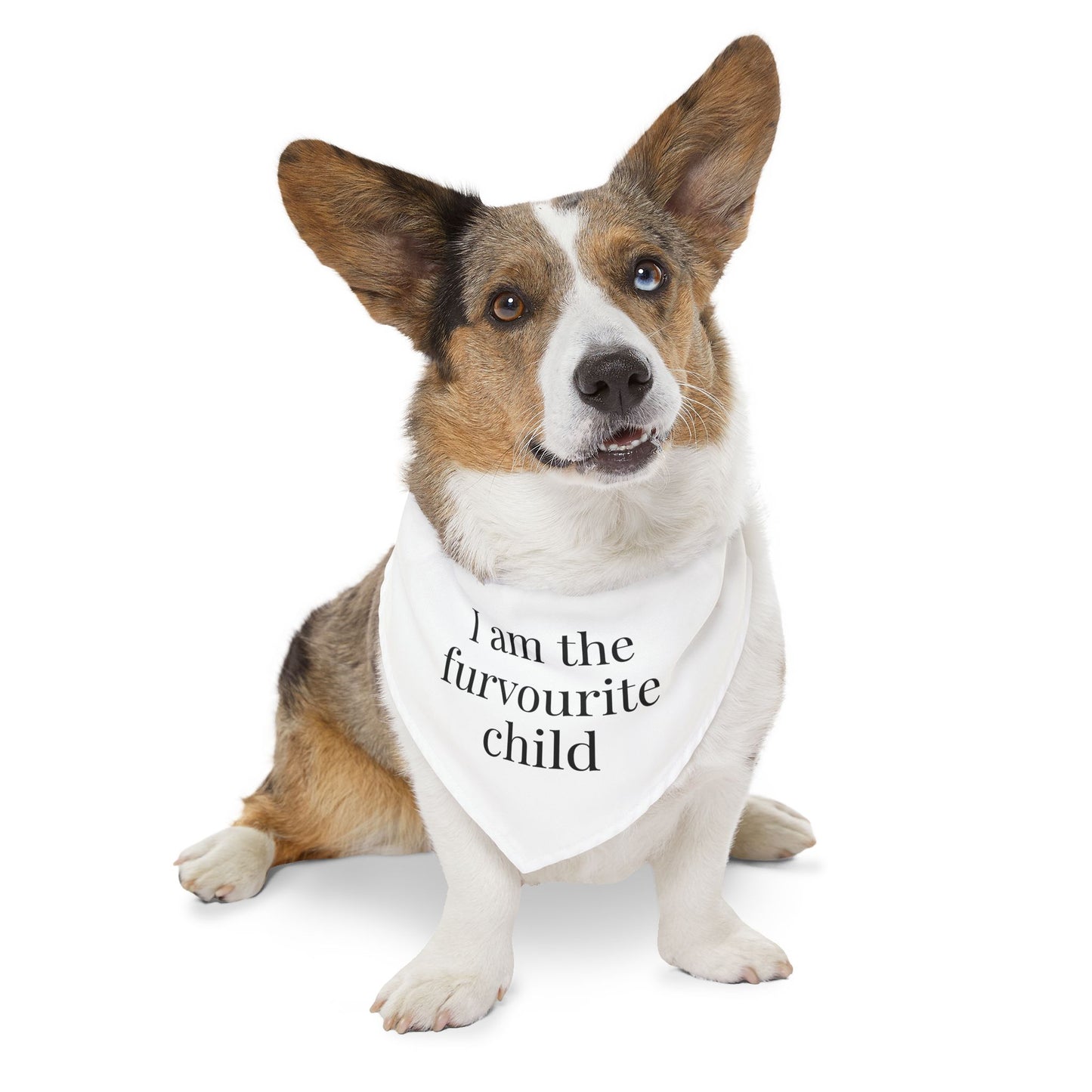 Fur Baby Bandana