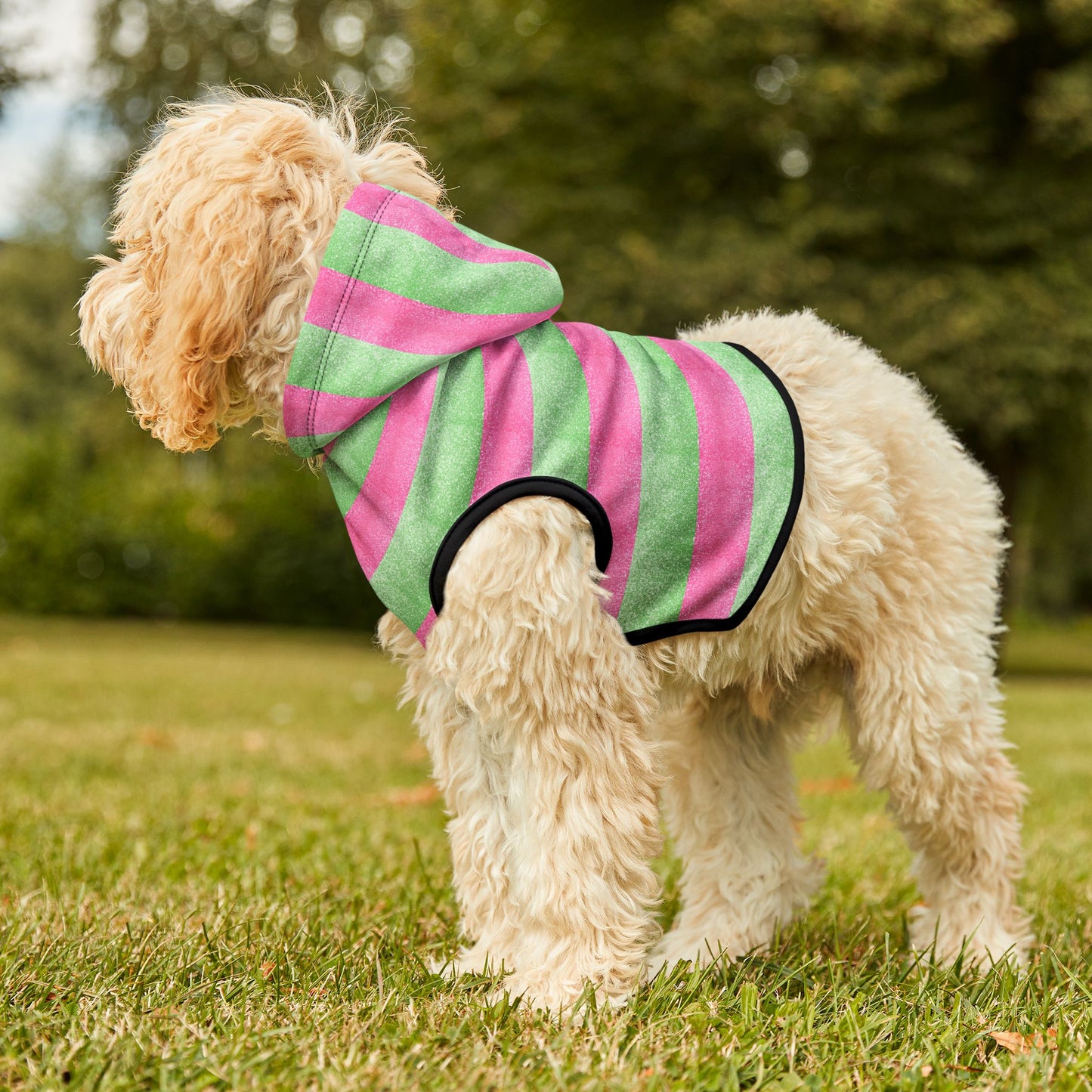 Watermelon Splash Hoodie