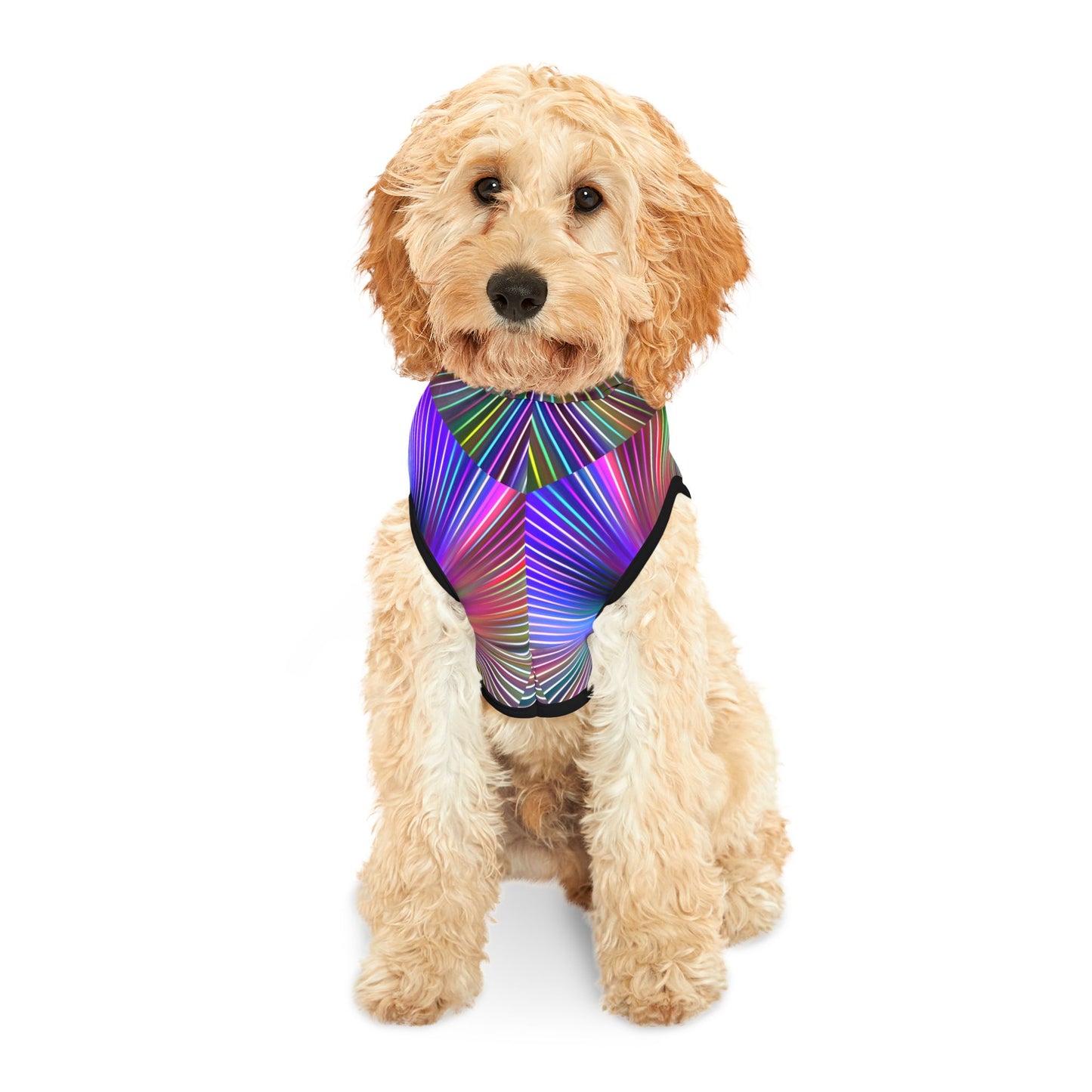 Disco Pawty Hoodie