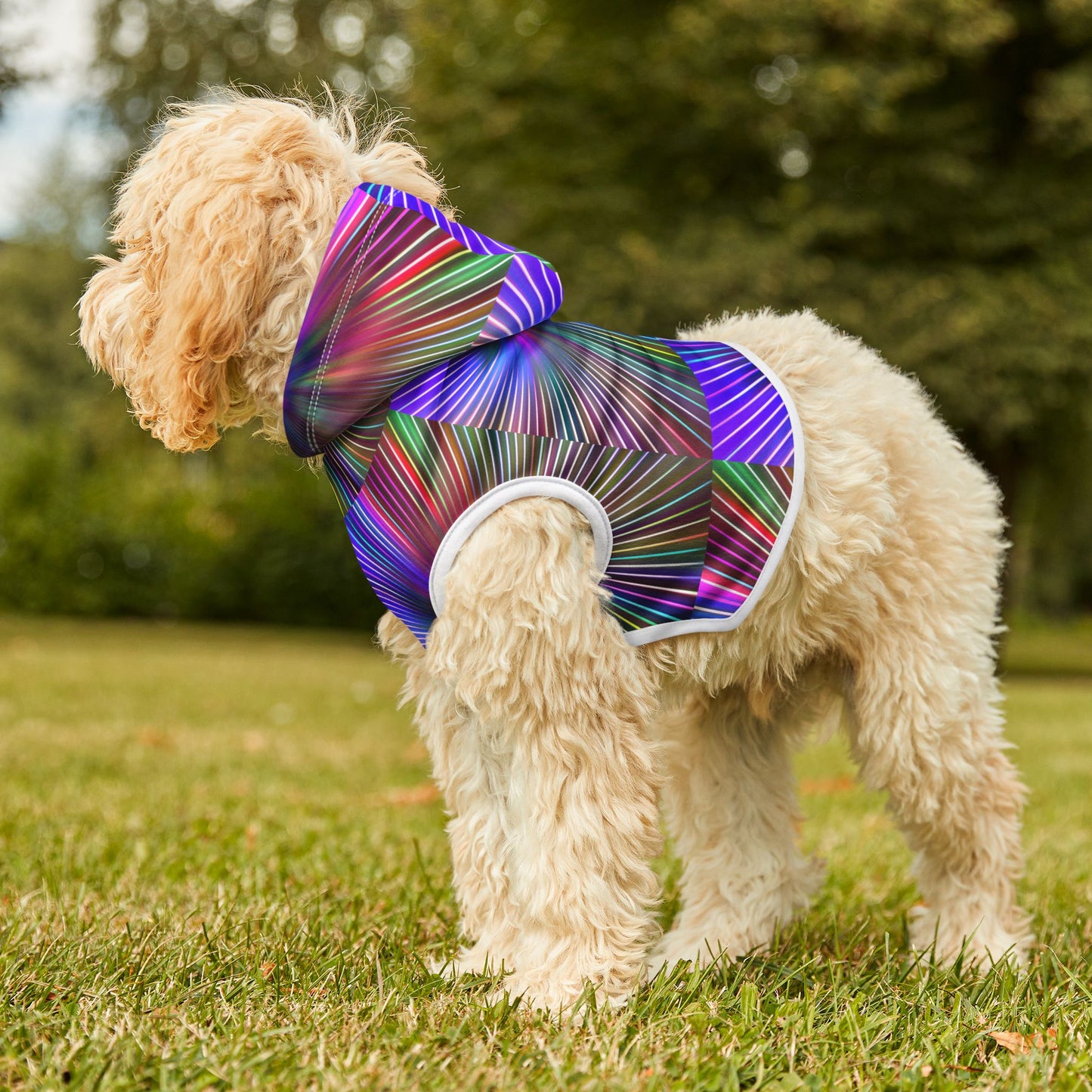 Disco Pawty Hoodie