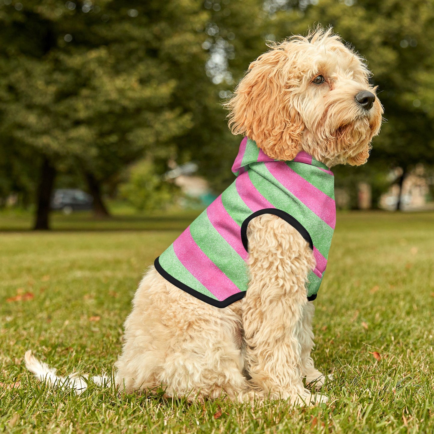 Watermelon Splash Hoodie