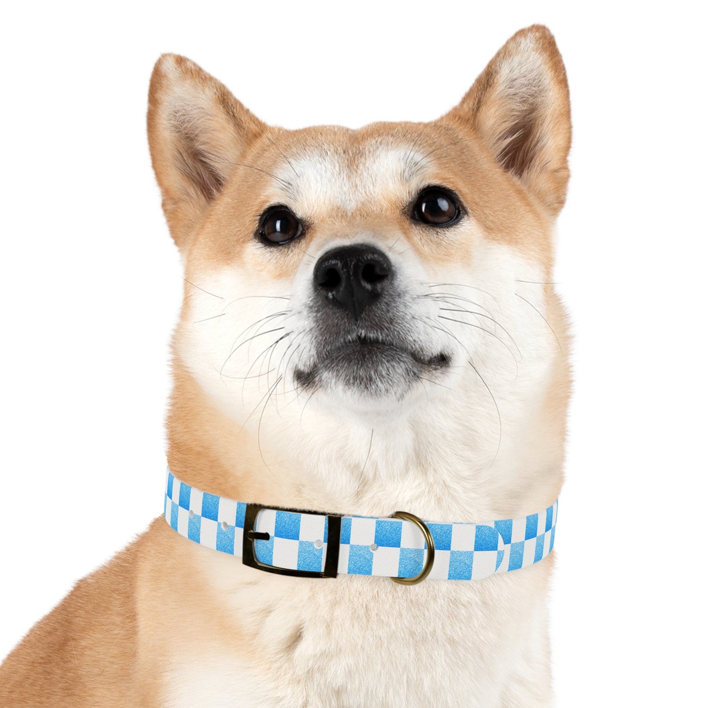 Blue Baloo Collar