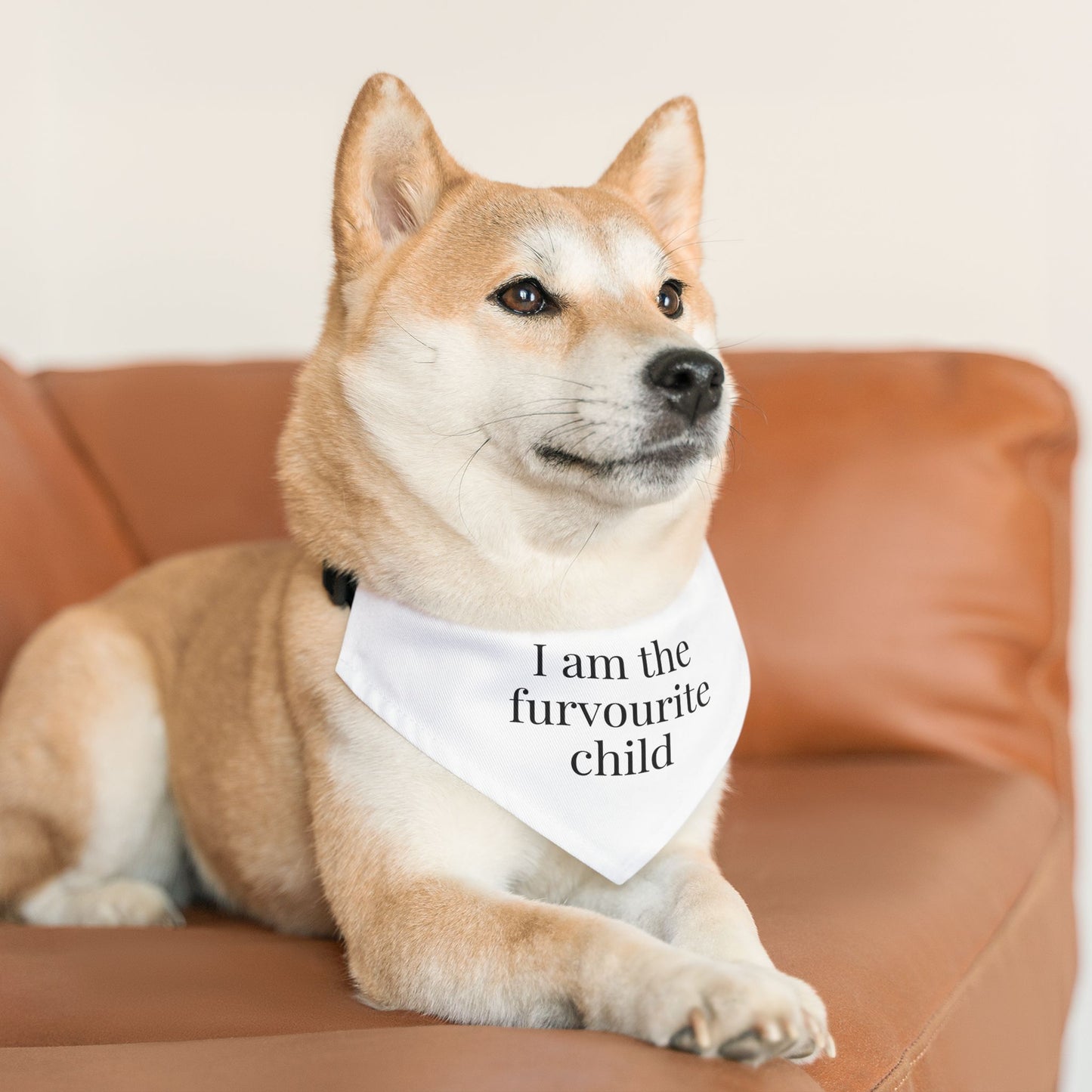 Fur Baby Bandana