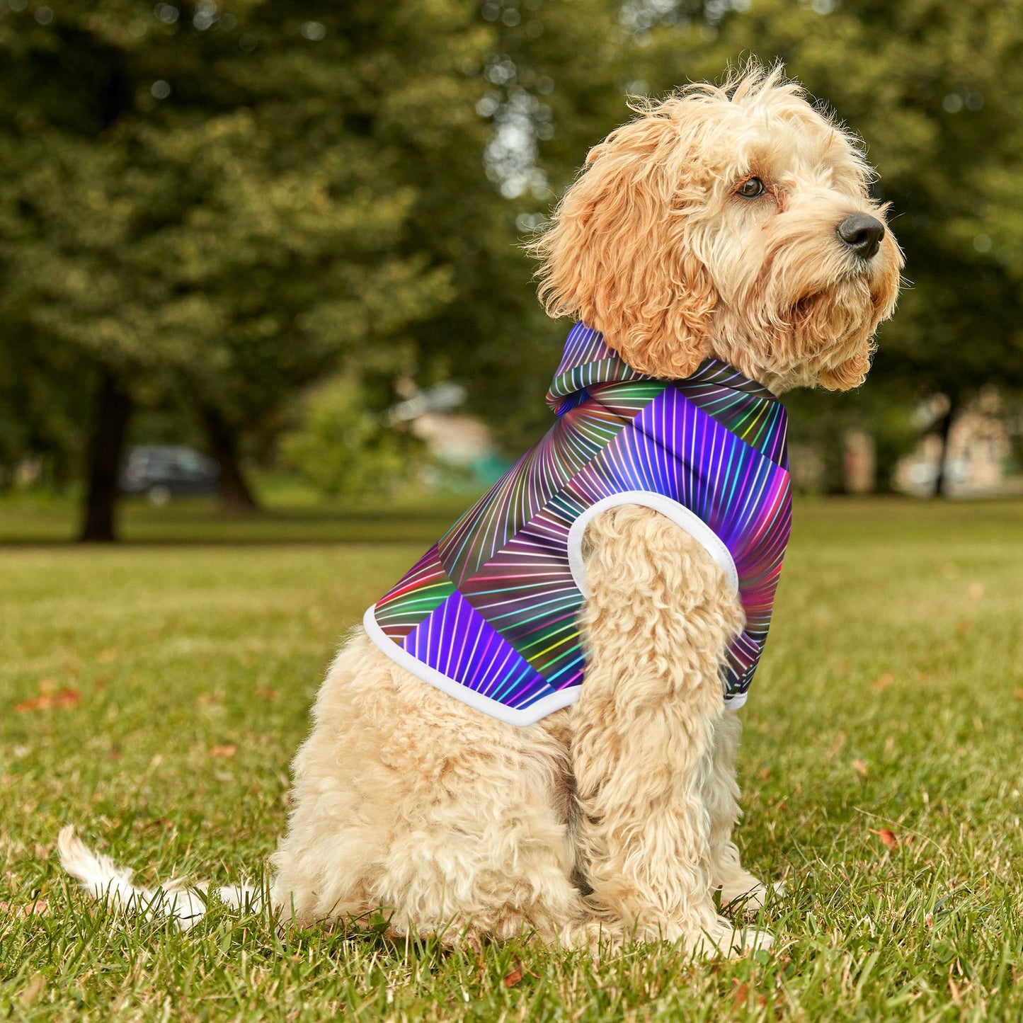 Disco Pawty Hoodie