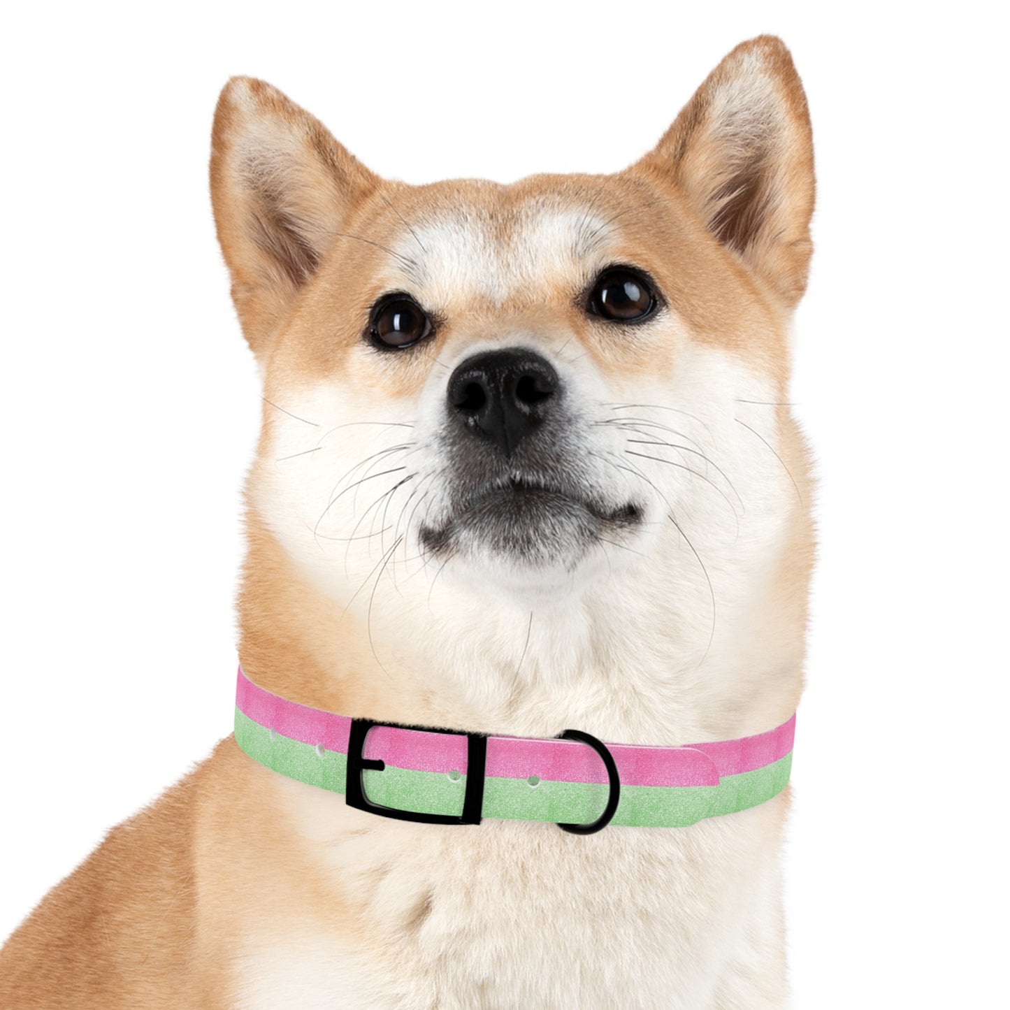 Watermelon Splash Collar