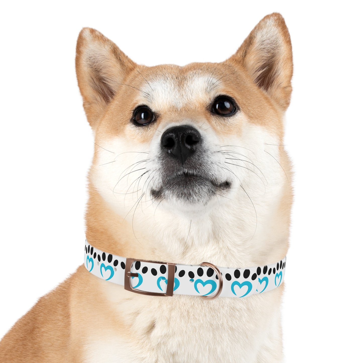 Barkle Logo Dog Collar