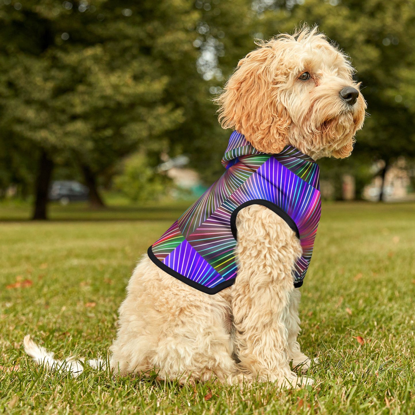 Disco Pawty Hoodie
