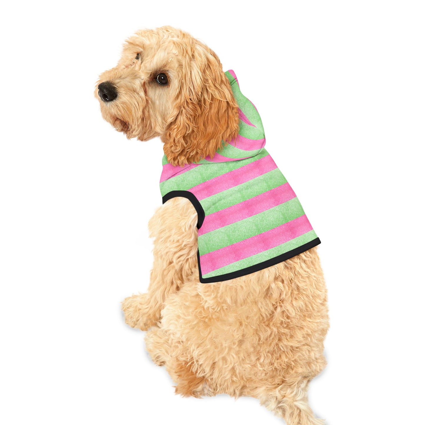 Watermelon Splash Hoodie