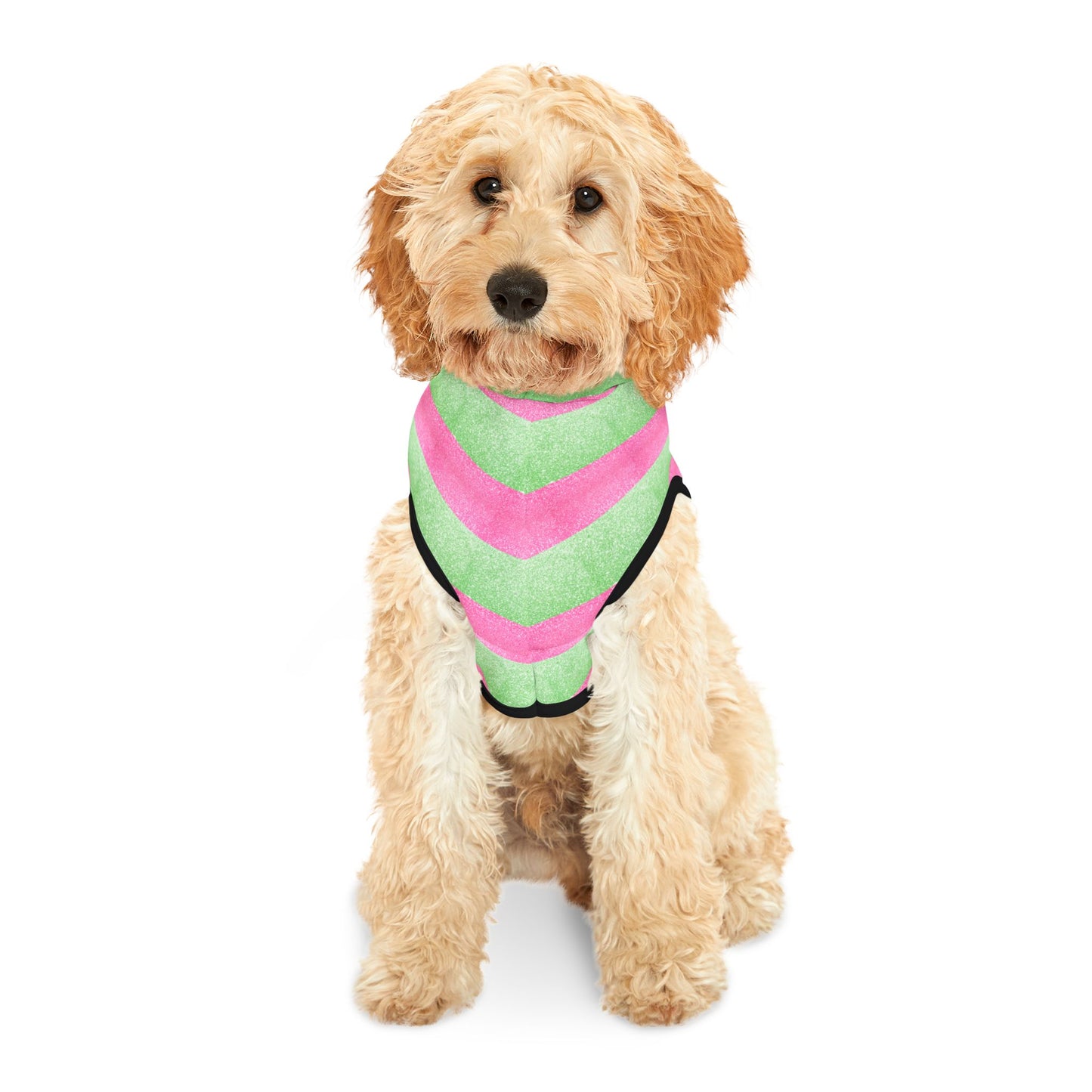 Watermelon Splash Hoodie