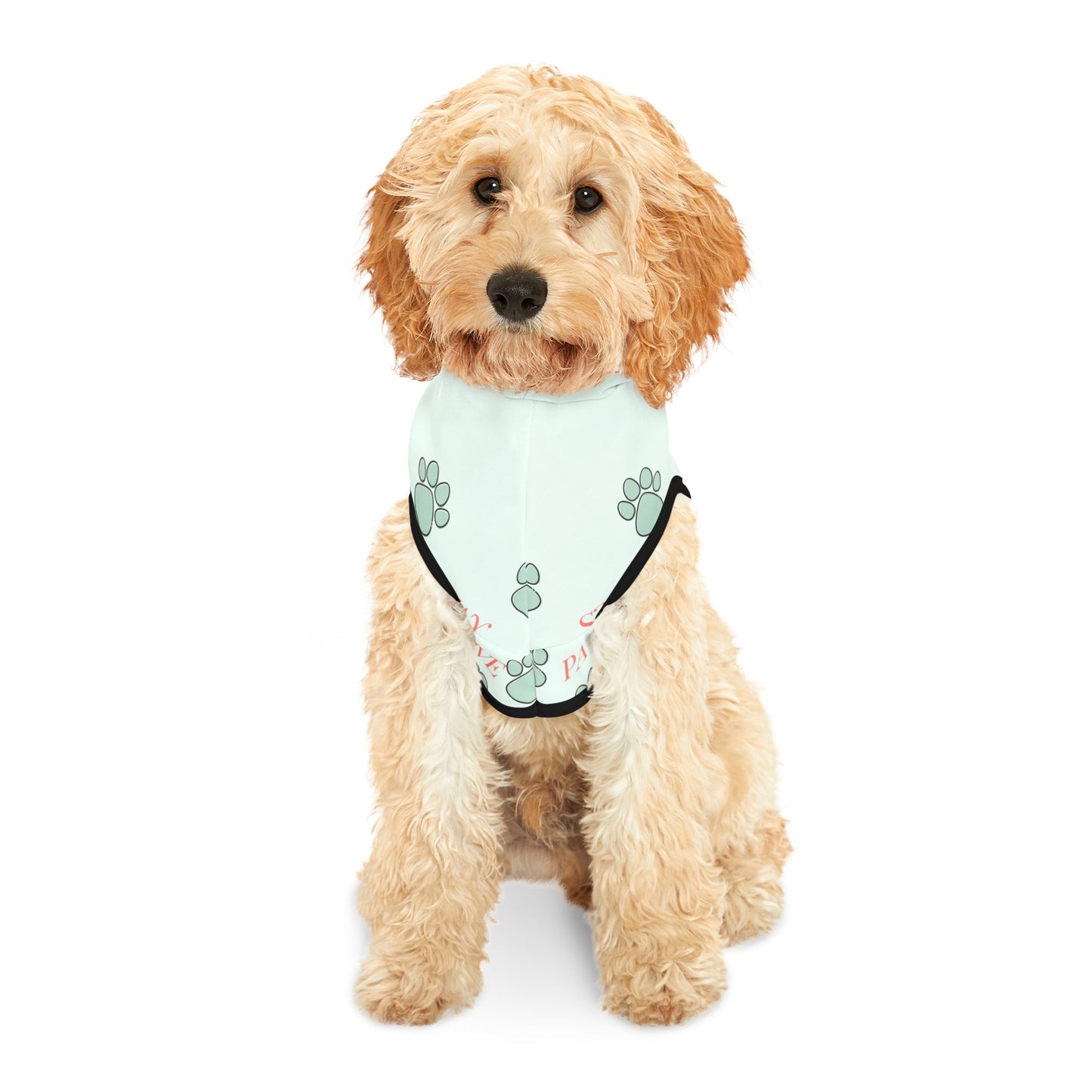 Stay Pawsitive Pet Hoodie
