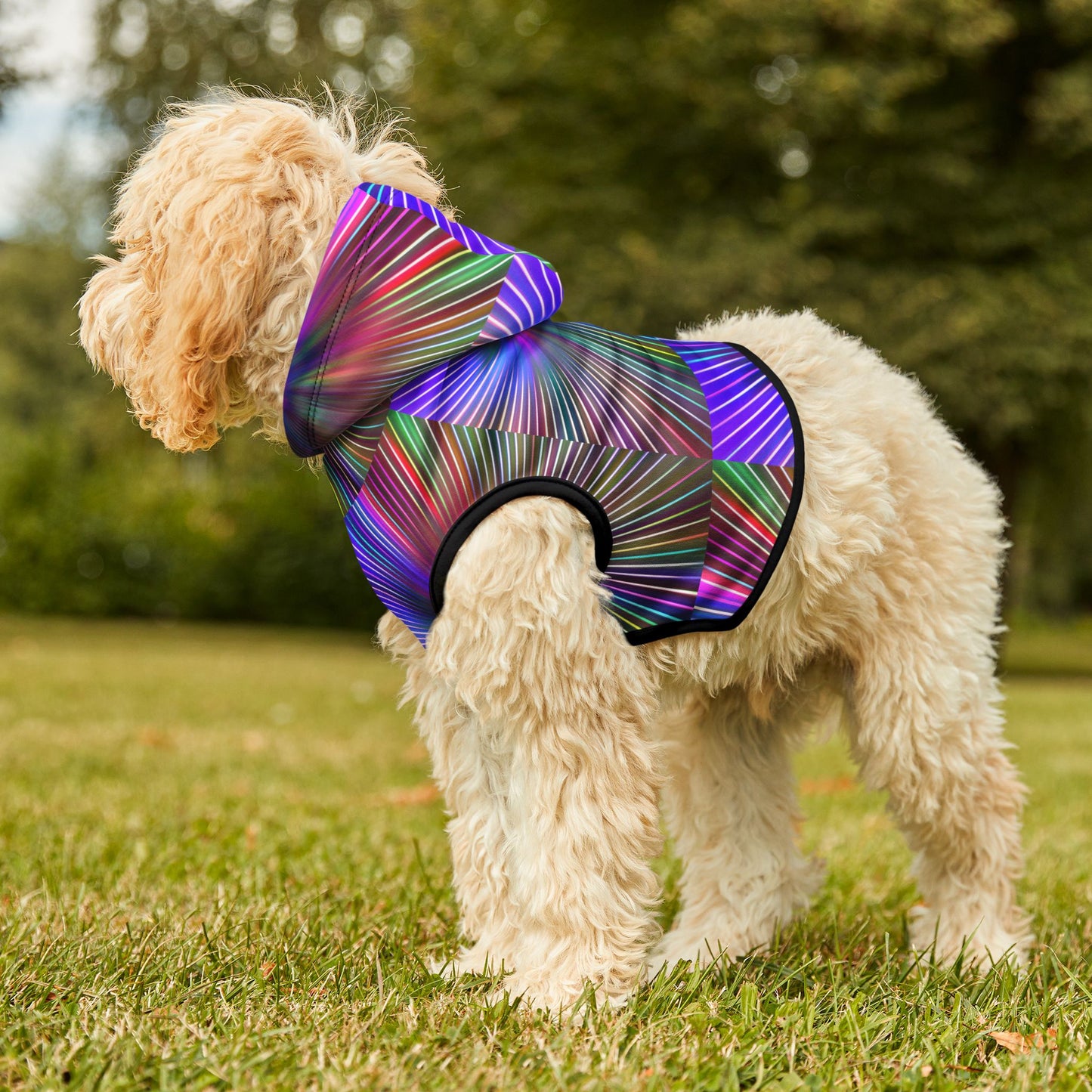 Disco Pawty Hoodie