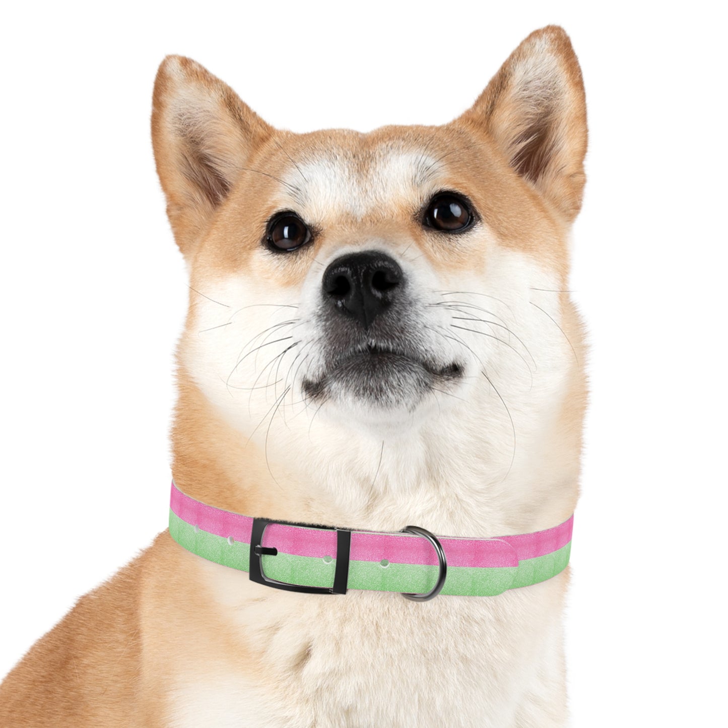 Watermelon Splash Collar