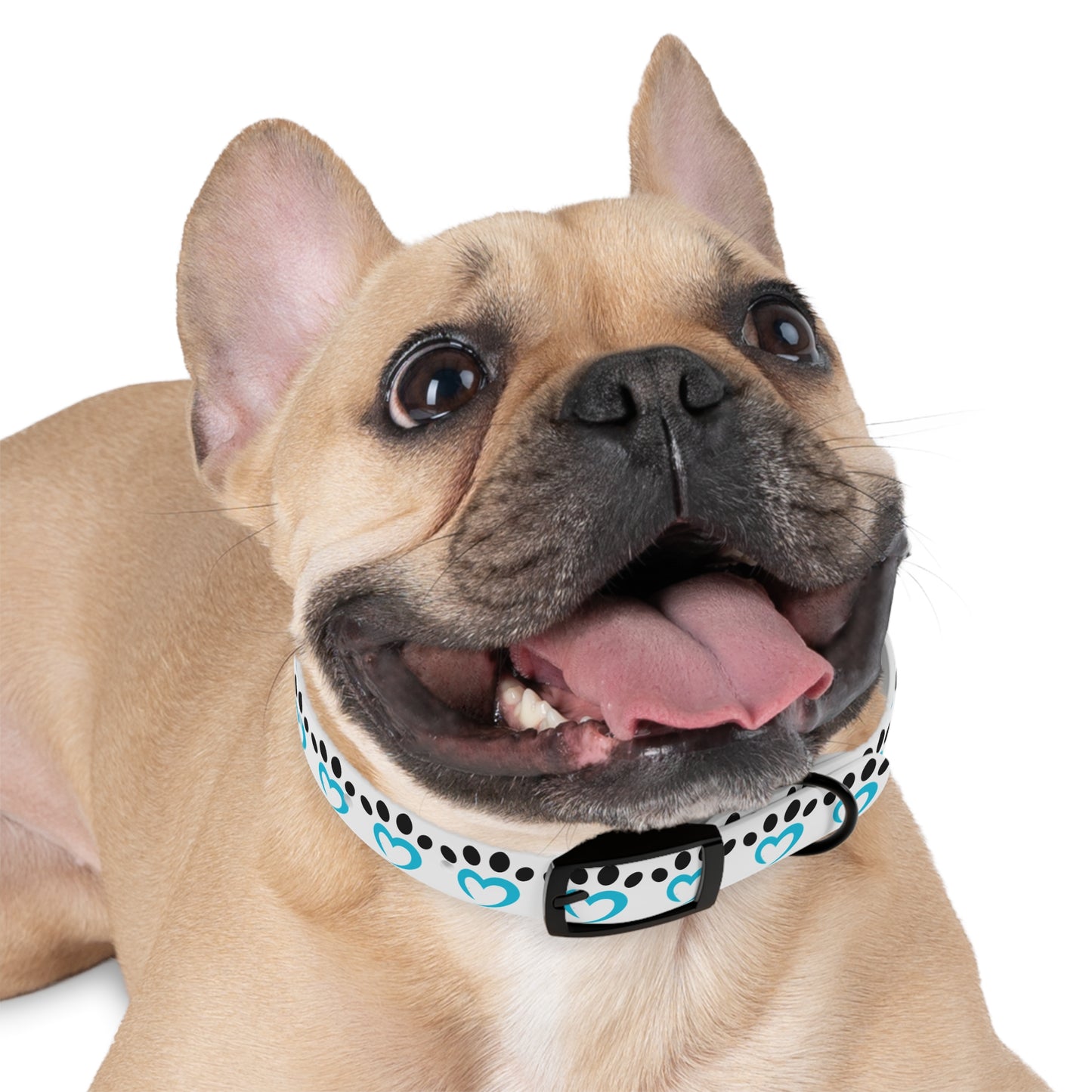Barkle Logo Dog Collar