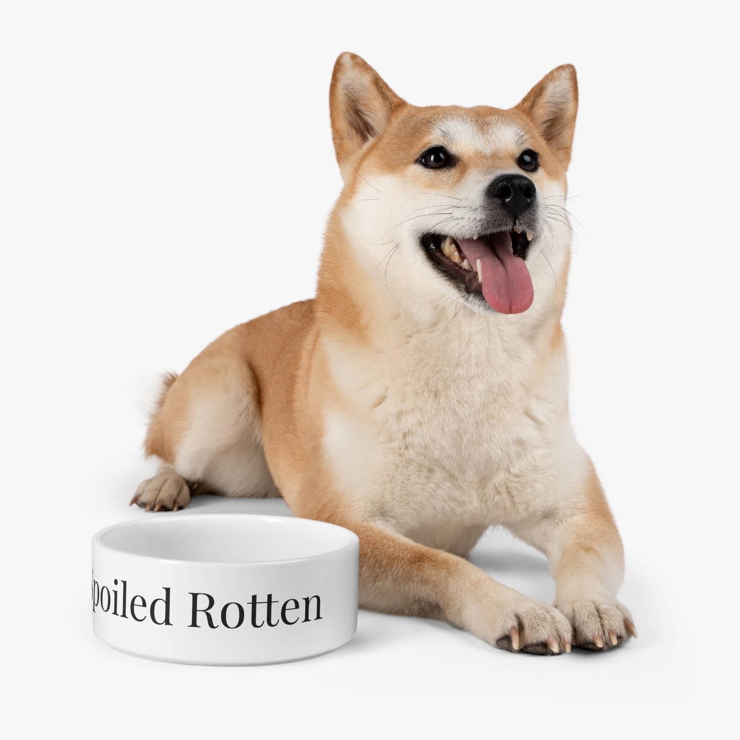 Spoiled Rotten Pet Bowl