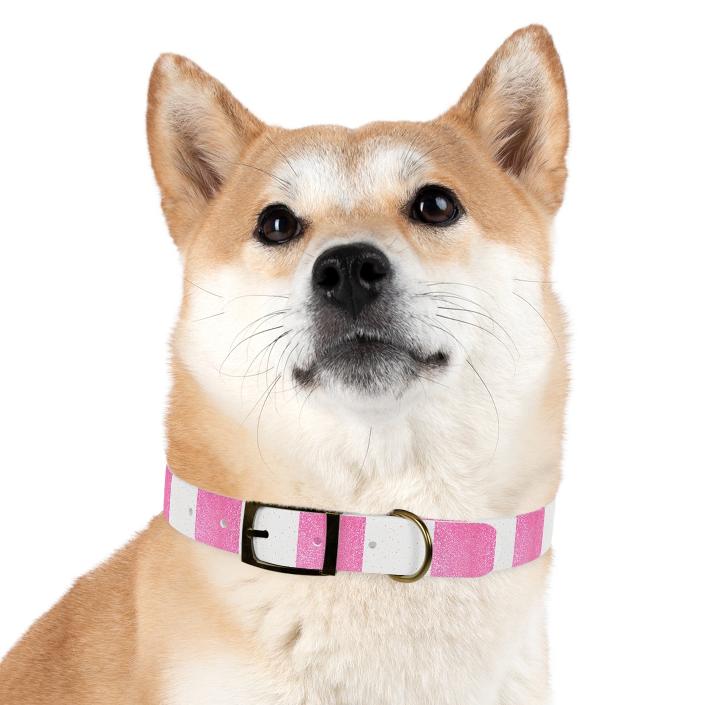 Candy Cane Blitz Collar