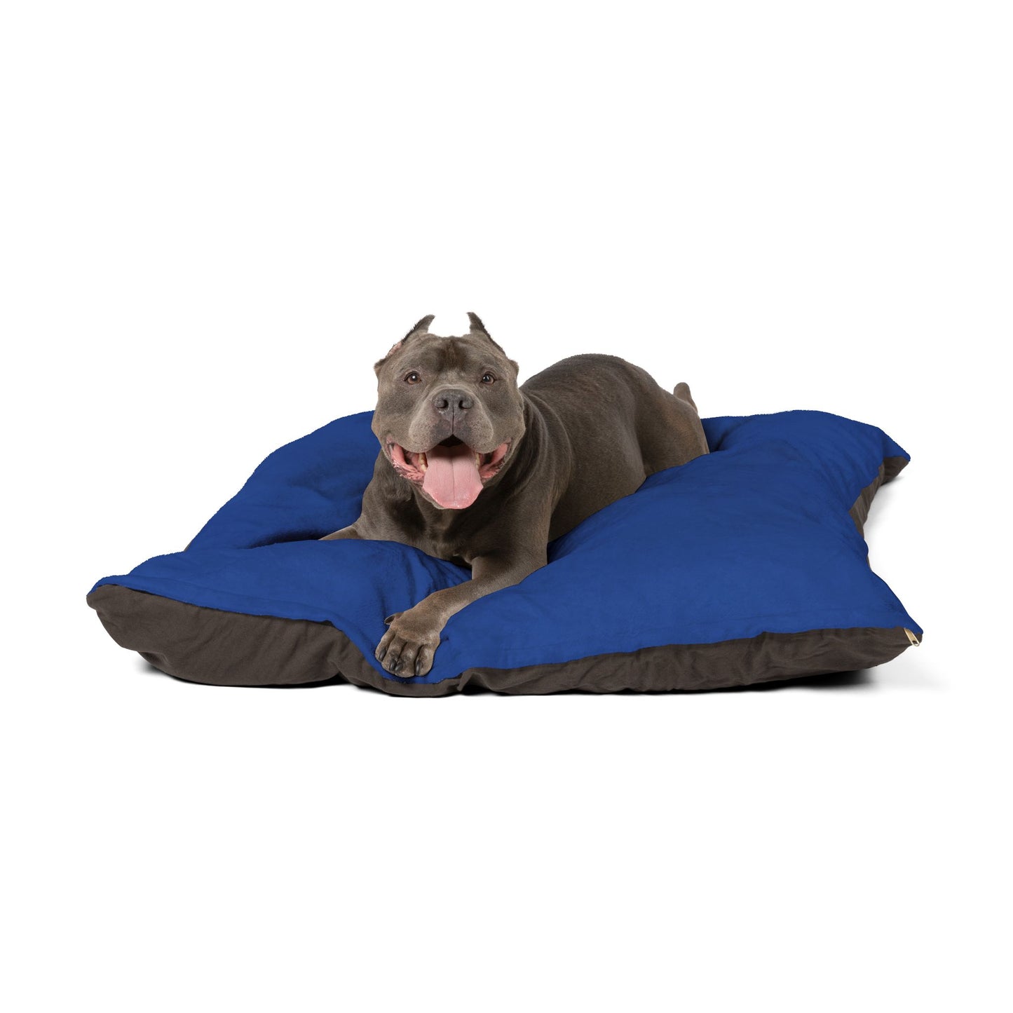 Barkle "B" Signature Dark Blue Bed