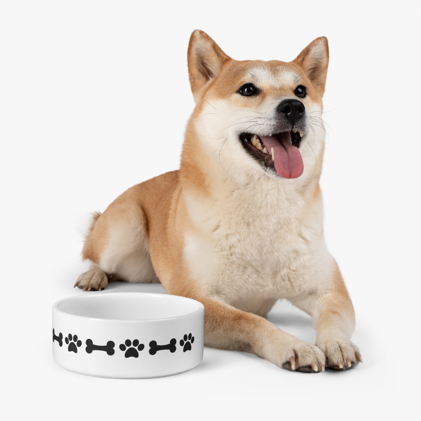 Bone n Paw Bowl