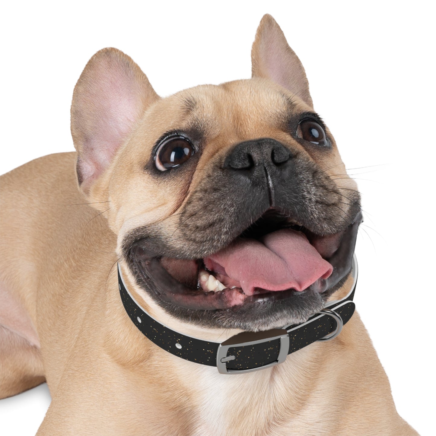 Midnight Dazzle Collar