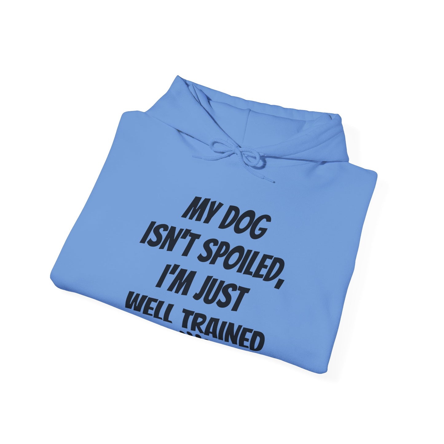 Unisex Hooded Sweatshirt