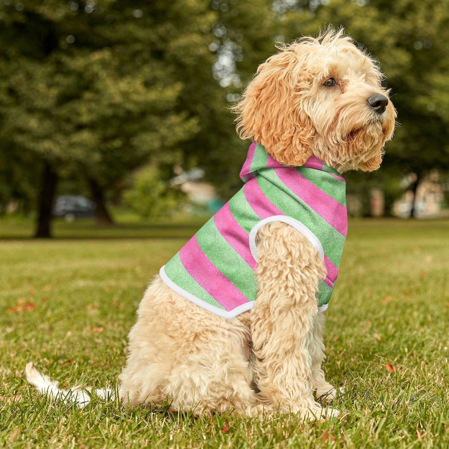 Watermelon Splash Hoodie