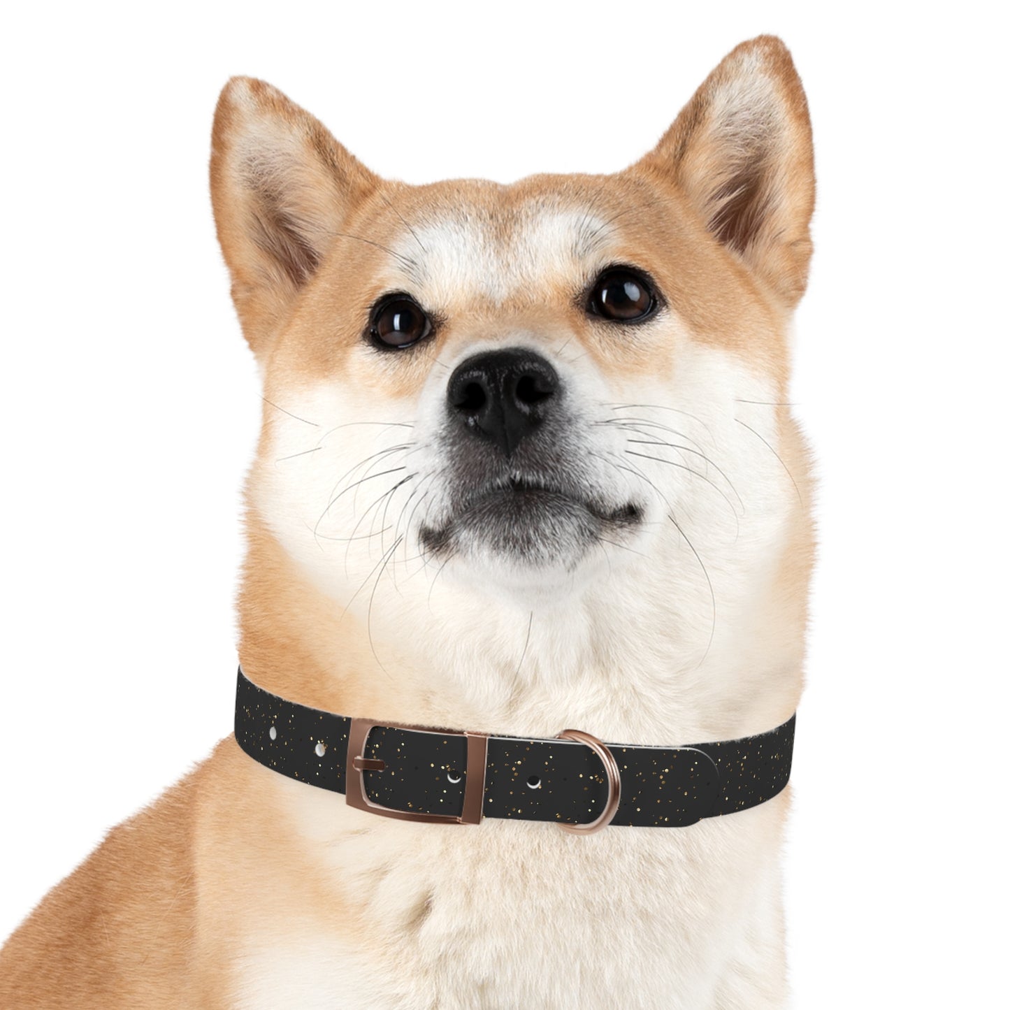 Midnight Dazzle Collar