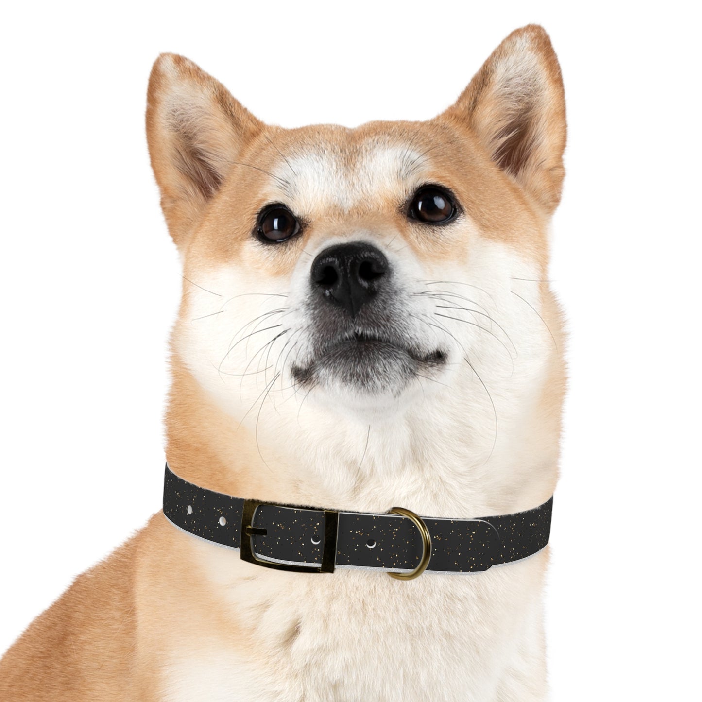 Midnight Dazzle Collar