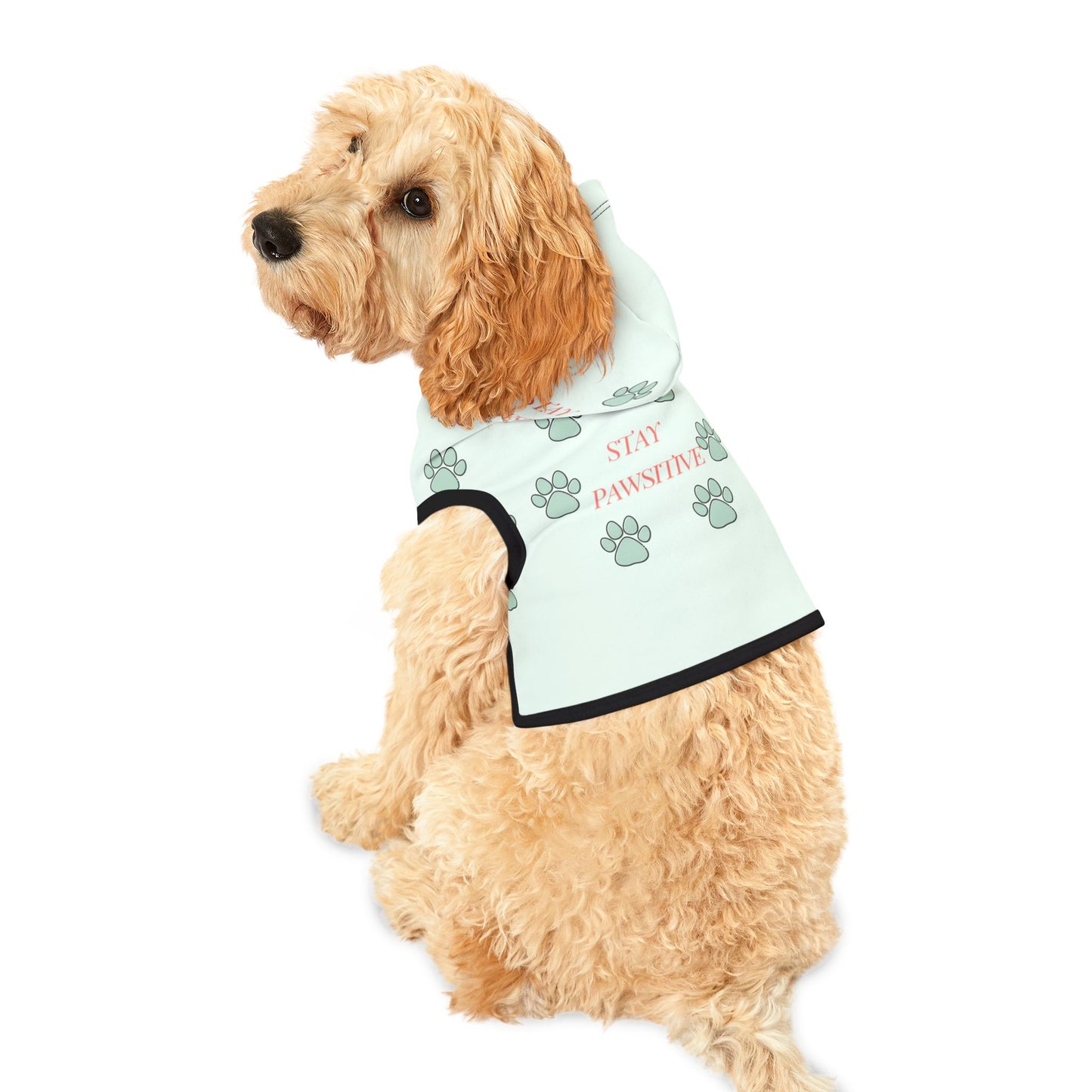 Stay Pawsitive Pet Hoodie