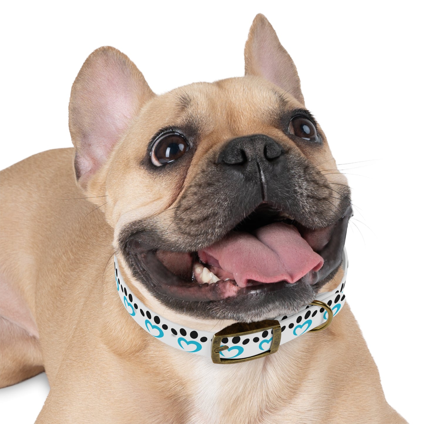 Barkle Logo Dog Collar