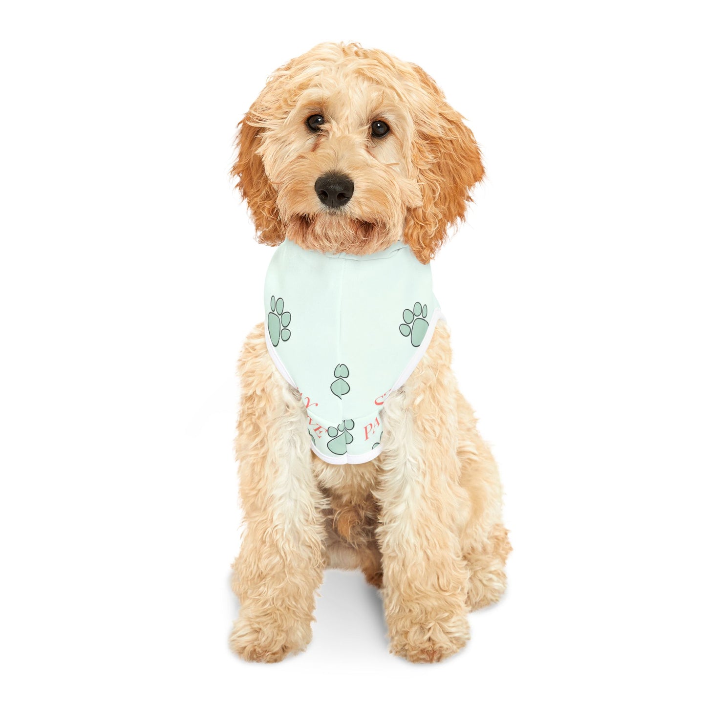 Stay Pawsitive Pet Hoodie
