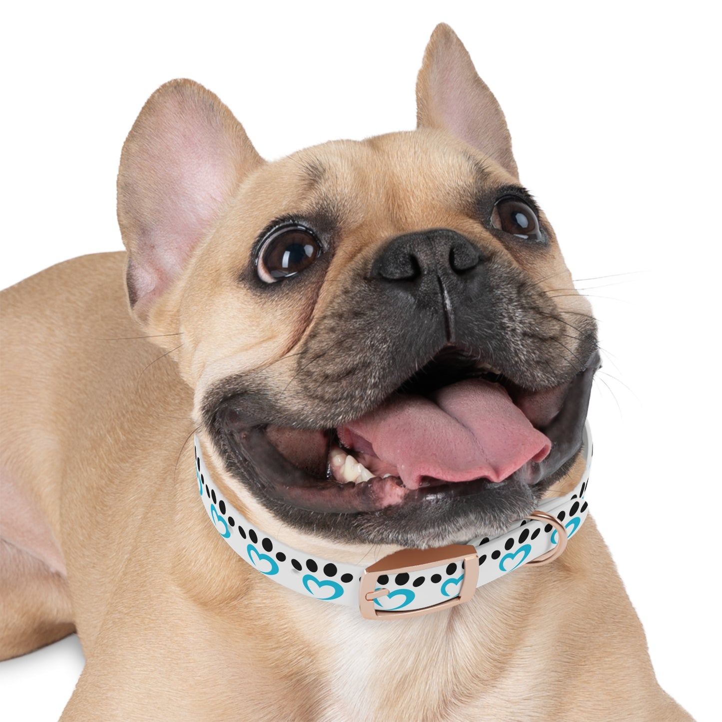 Barkle Logo Dog Collar